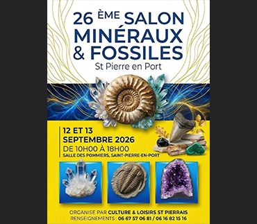 26 salon minéraux et fossiles Saint-Pierre-en-port